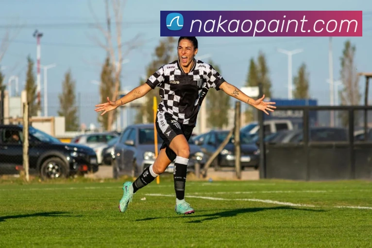 奖项证书